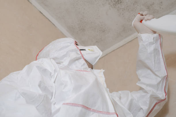 Best Professional Mold Removal  in West Orange, TX